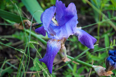 Similar image 2859682