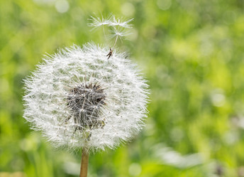 Similar image 2859704