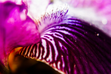 Similar image 2859770