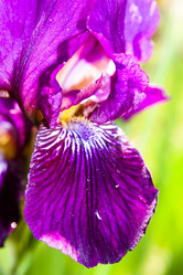 Similar image 2859771