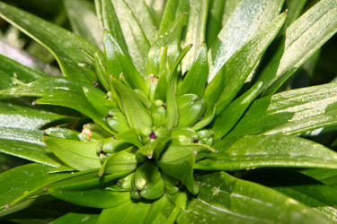 Similar image 2859772