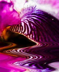 Similar image 2859773