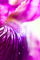 Similar image 2859774