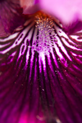 Similar image 2859800