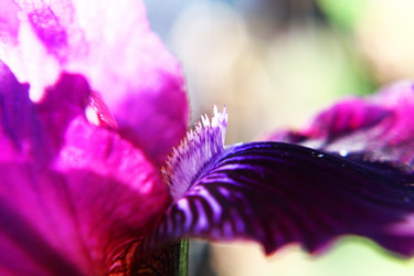 Similar image 2859801