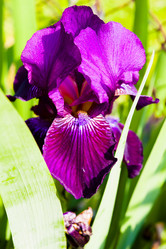 Similar image 2859802