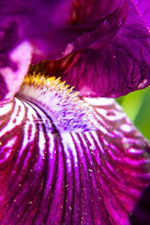 Similar image 2859808