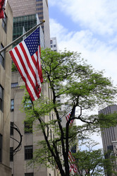 Similar image 2859832