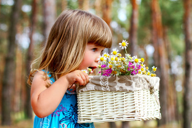 Similar image 2859872