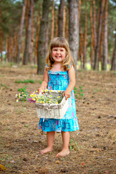 Similar image 2859879