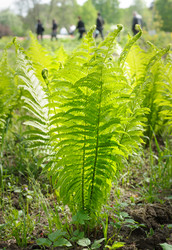 Similar image 2859891