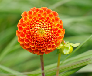 Similar image 2859911