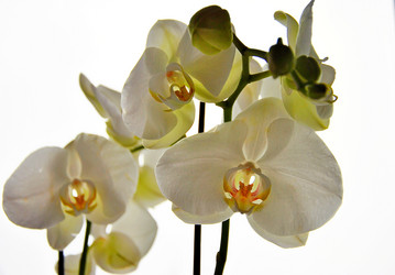 Similar image 2860076