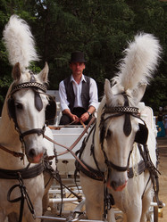 Similar image 2860180