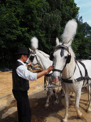 Similar image 2860182