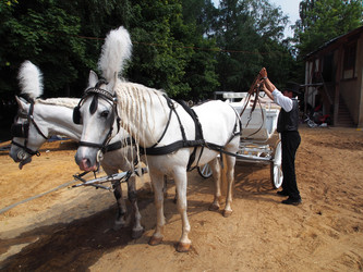 Similar image 2860283