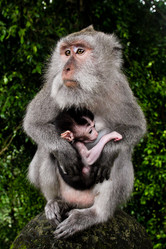 Similar image 2860920