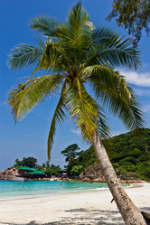 Similar image 2860923