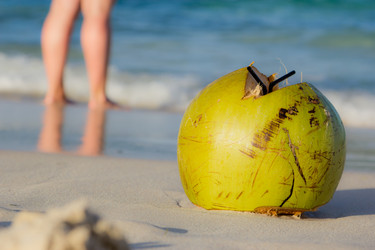 Similar image 2860925