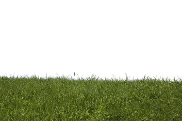 Similar image 2861019