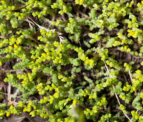 Similar image 2861355