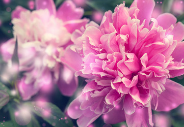 Similar image 2861360