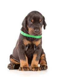 Similar image 2861364