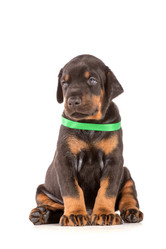 Similar image 2861368