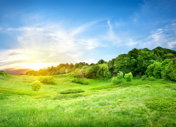 Similar image 2862618