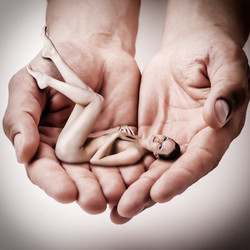 Similar image 2862624