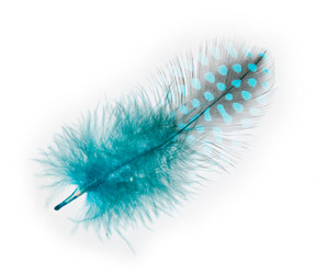 Similar image 2862647