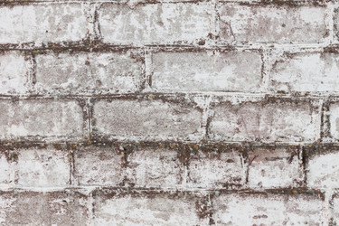 Similar image 2862690