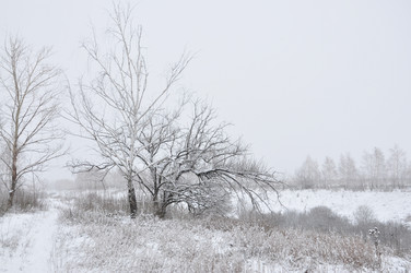 Similar image 2862707