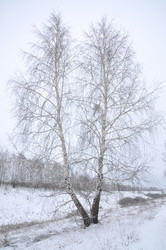 Similar image 2862709