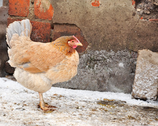 Similar image 2862712