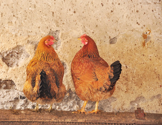 Similar image 2862713