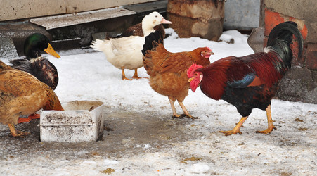 Similar image 2862714