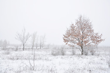 Similar image 2862715