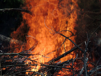 Similar image 2862823