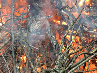 Similar image 2862824