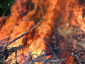 Similar image 2862825