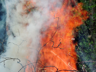 Similar image 2862827