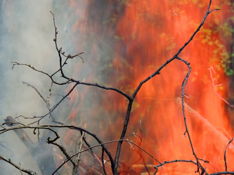 Similar image 2862828