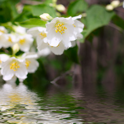 Similar image 2862837