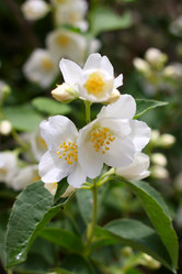 Similar image 2862838