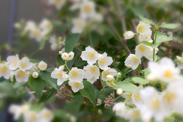 Similar image 2862839