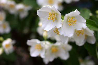 Similar image 2862840