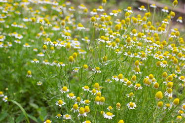 Similar image 2862841