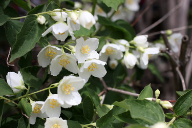 Similar image 2862845