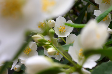 Similar image 2862846